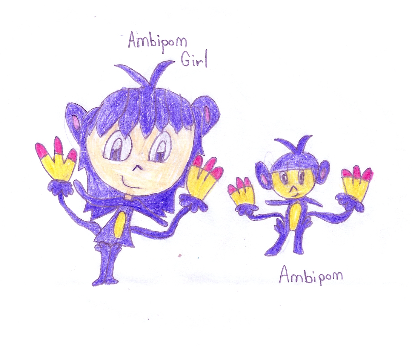 Ambipom girl 70001.jpg